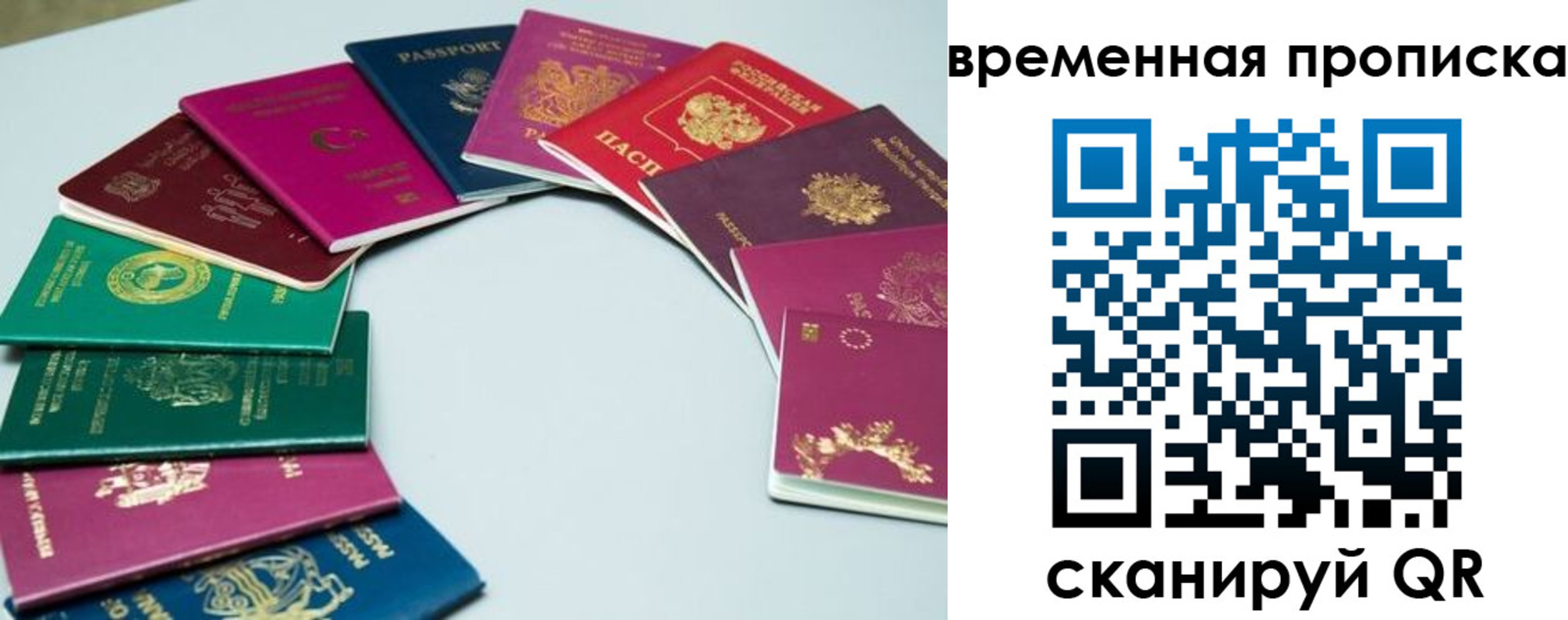 найти адрес прописки в Нижнекамске
